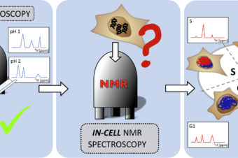 In-cell NMR spectroscopy of nucleic acids: Basic concepts, practical aspects, and applications